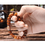 Tibetan Guardian Spirit Natural Yak Bone Bracelet - Buddha & Karma